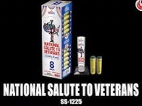 National Salute To Veterans