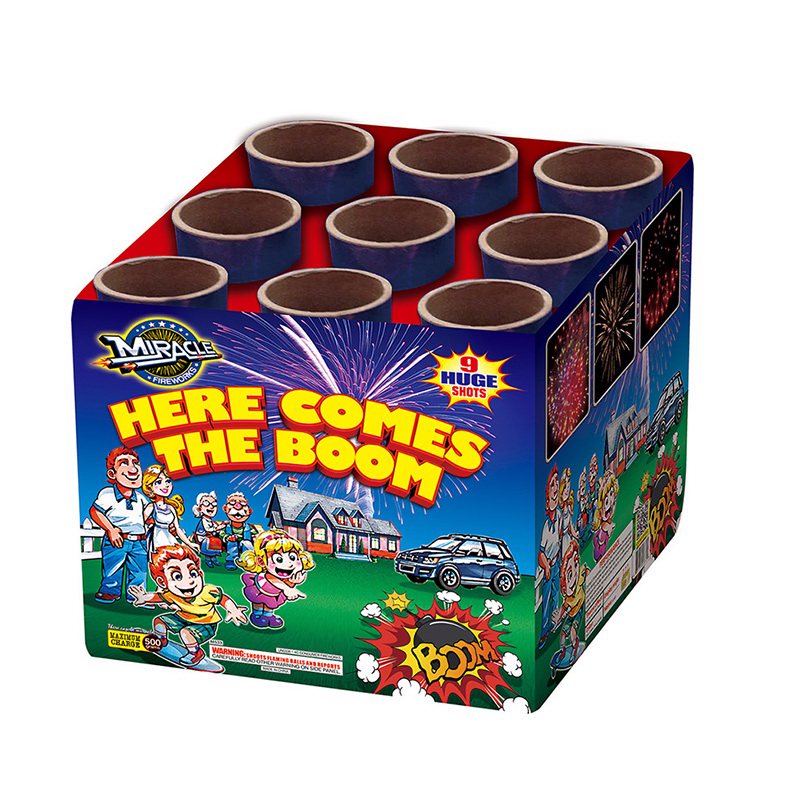 Here Comes The Boom