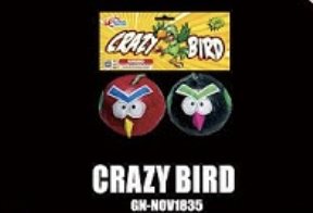 Crazy Bird