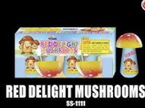 Red Delight Mushrooms