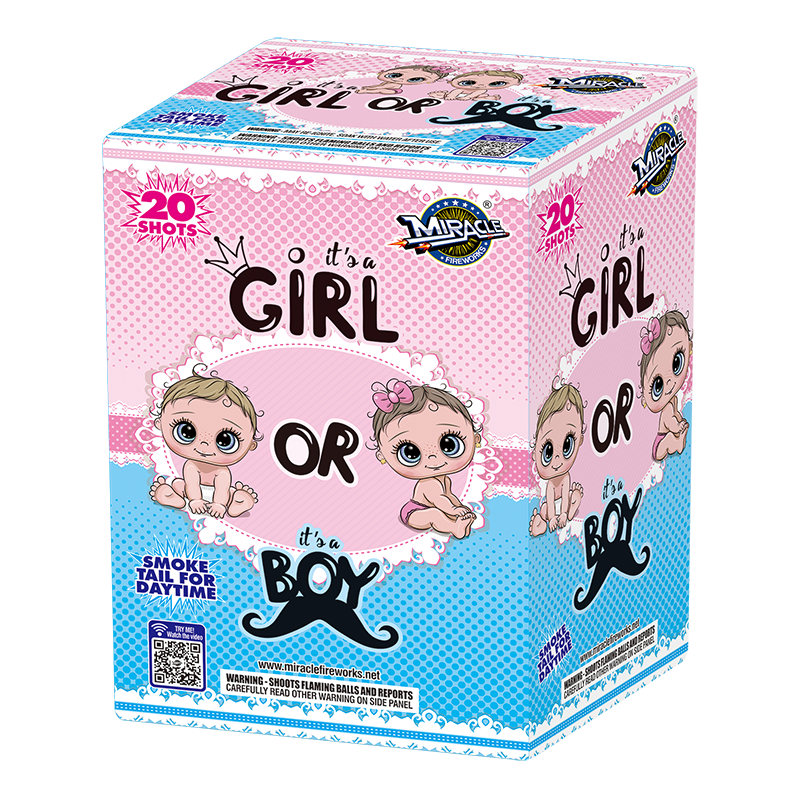 It's a Boy or It's a Girl